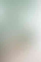 Un coin détente décoré chaleureusement avec des meubles tendance et une couleur accent, le vert menthe