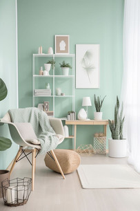Un coin détente décoré chaleureusement avec des meubles tendance et une couleur accent, le vert menthe