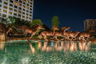 Mustangs of Las Colinas 1.jpeg