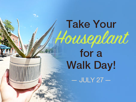 Take Your Houseplant for a Walk Day (Video)