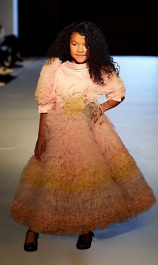 Designer Collection (7).png