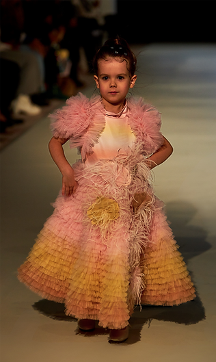 Designer Collection (18).png