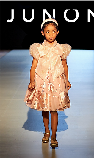 Designer Collection (16).png