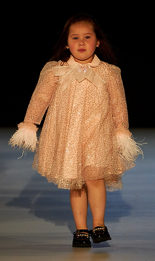 Designer Collection (19).png