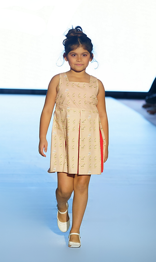 Designer Collection (11).png