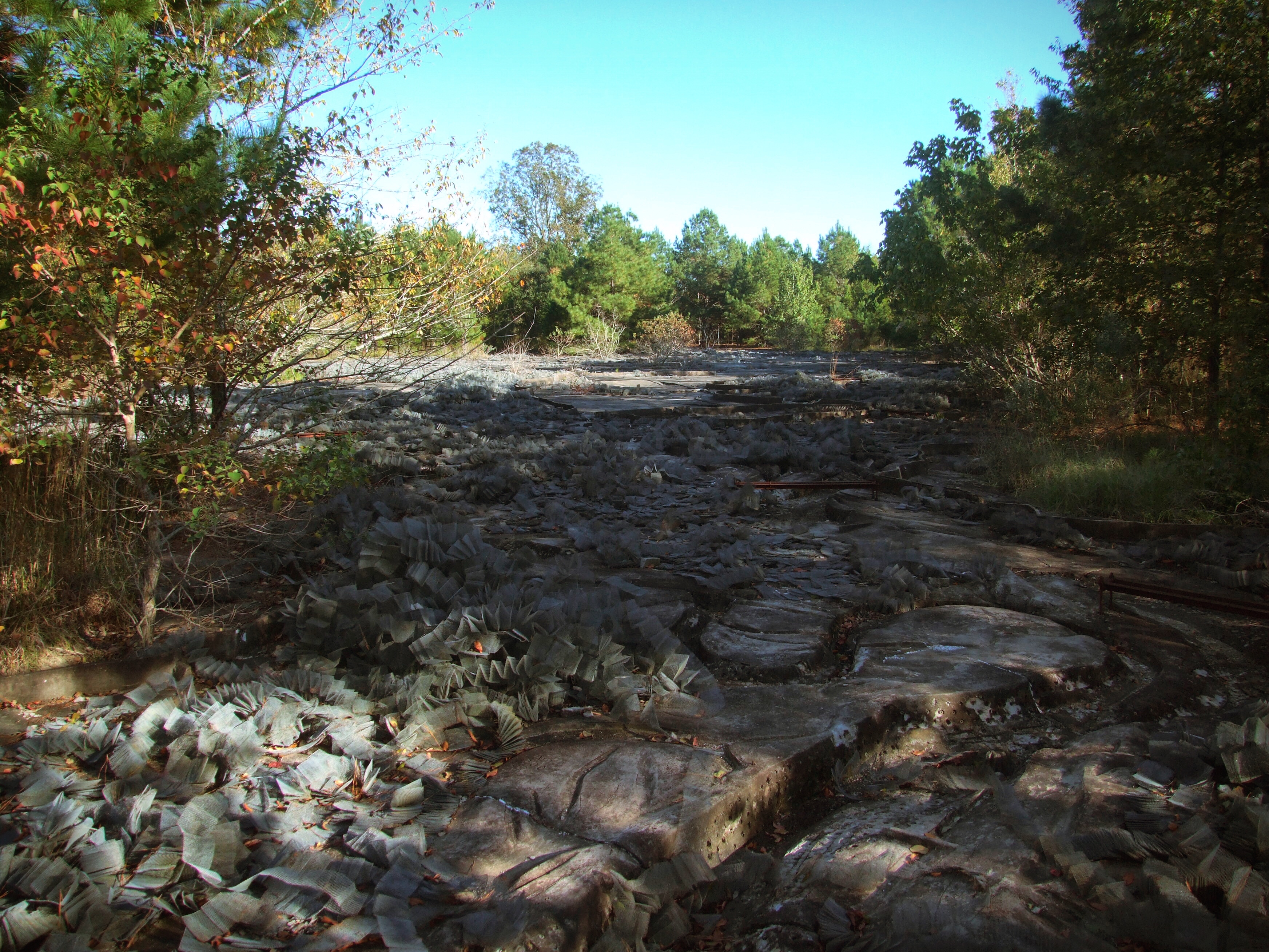 Mississippi River Model