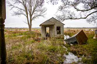 Crawfish Farm