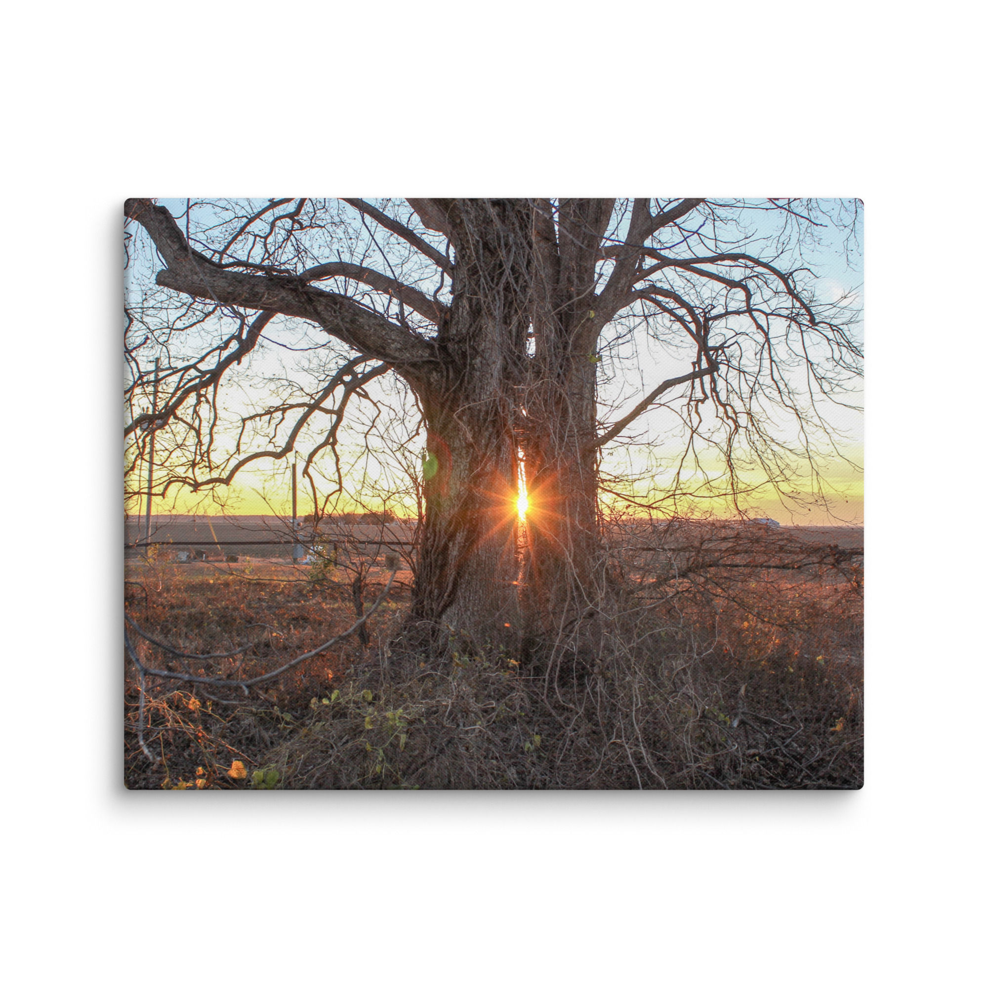 Delta Sun Set — Canvas