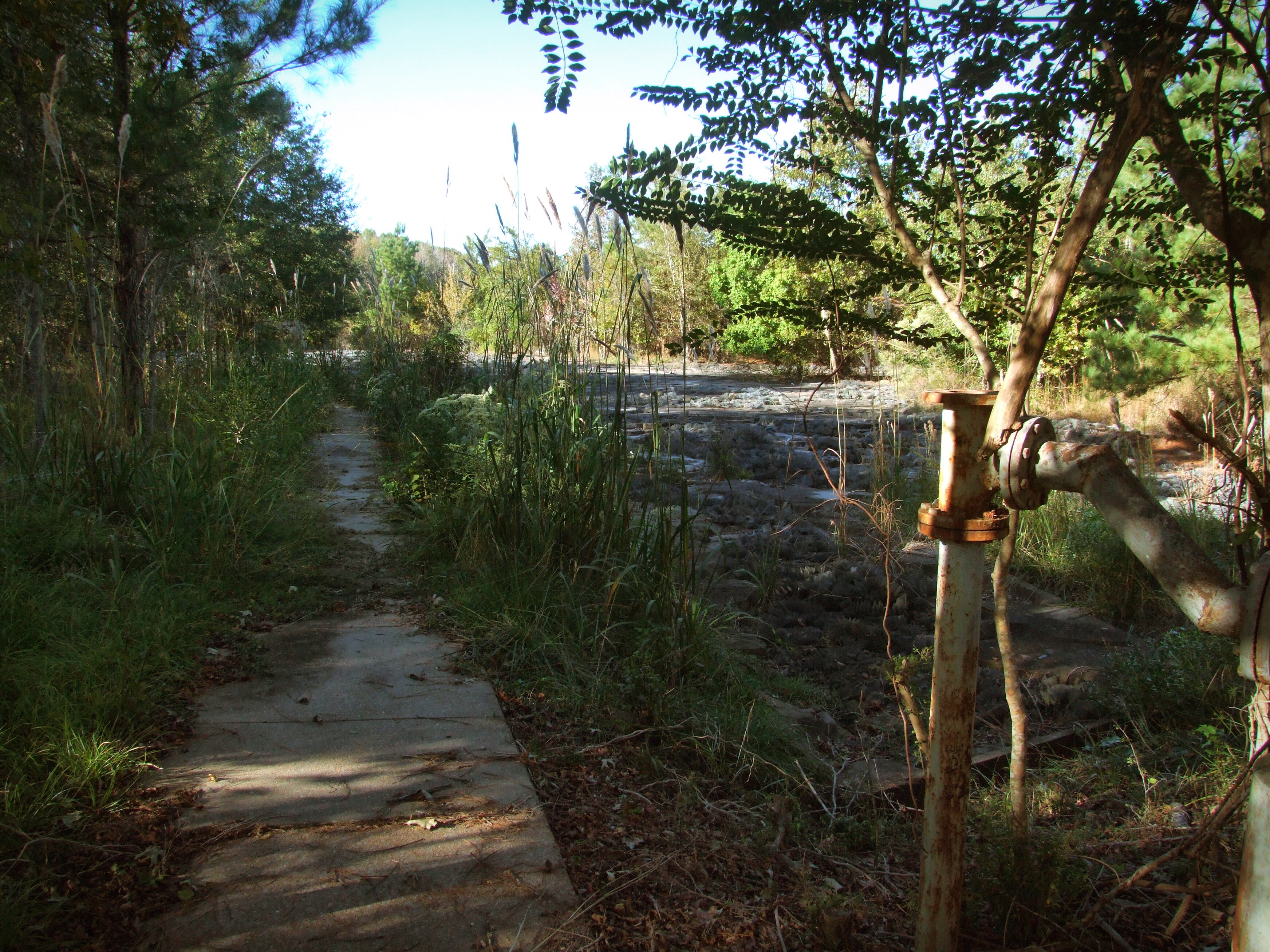 Mississippi River Model