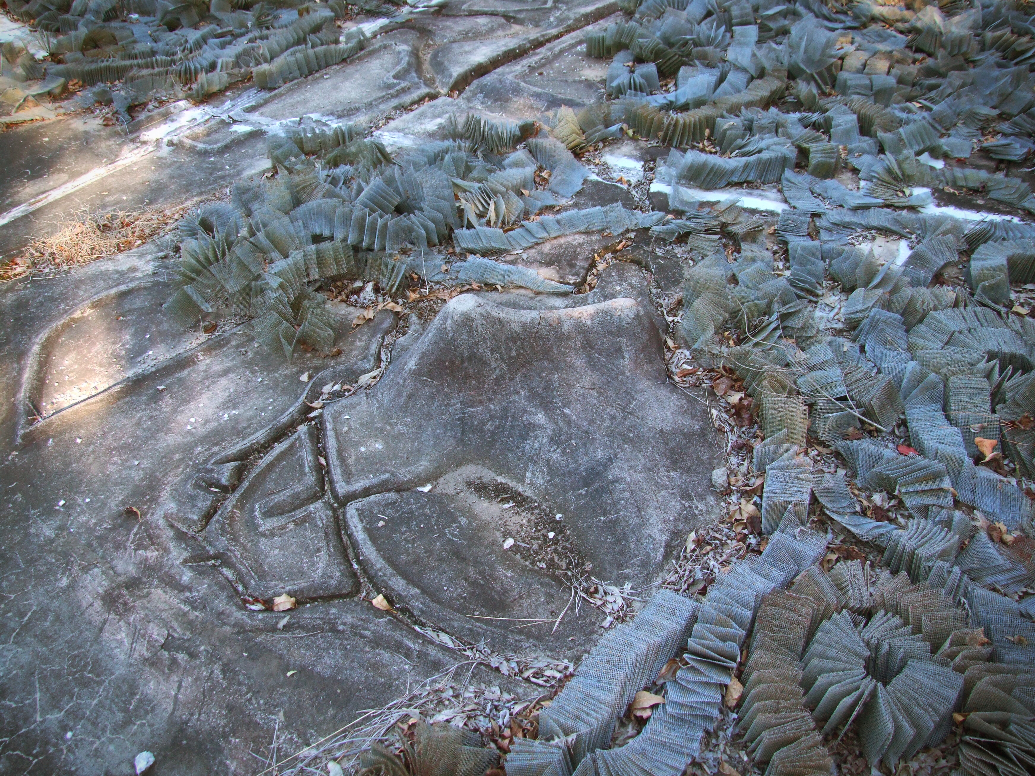 Mississippi River Model