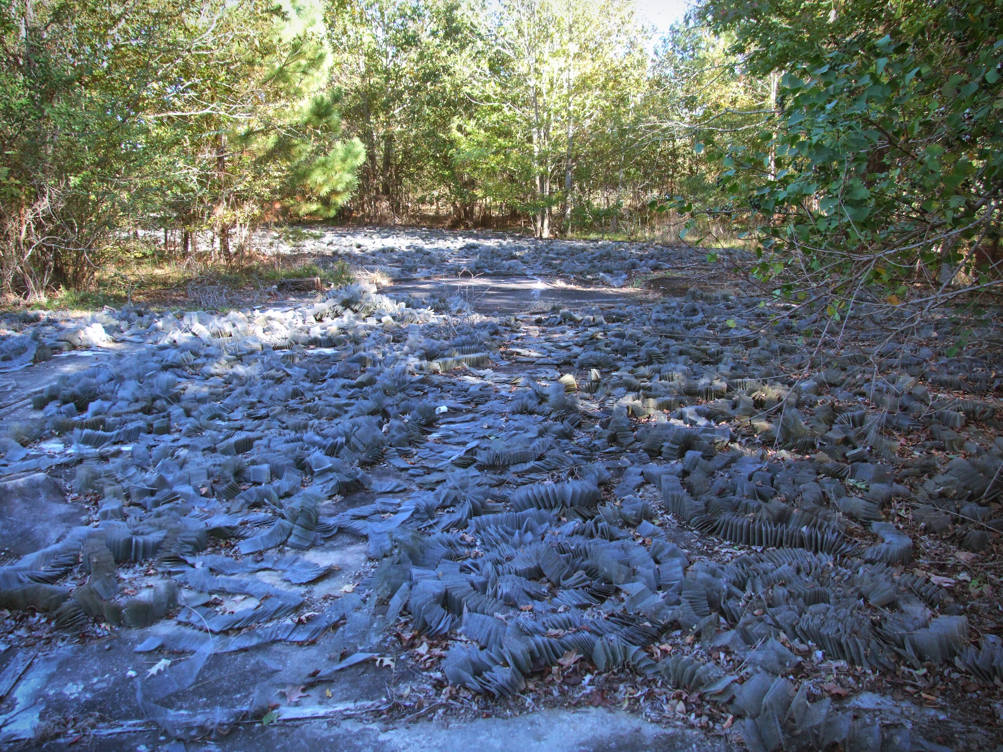 Mississippi River Model