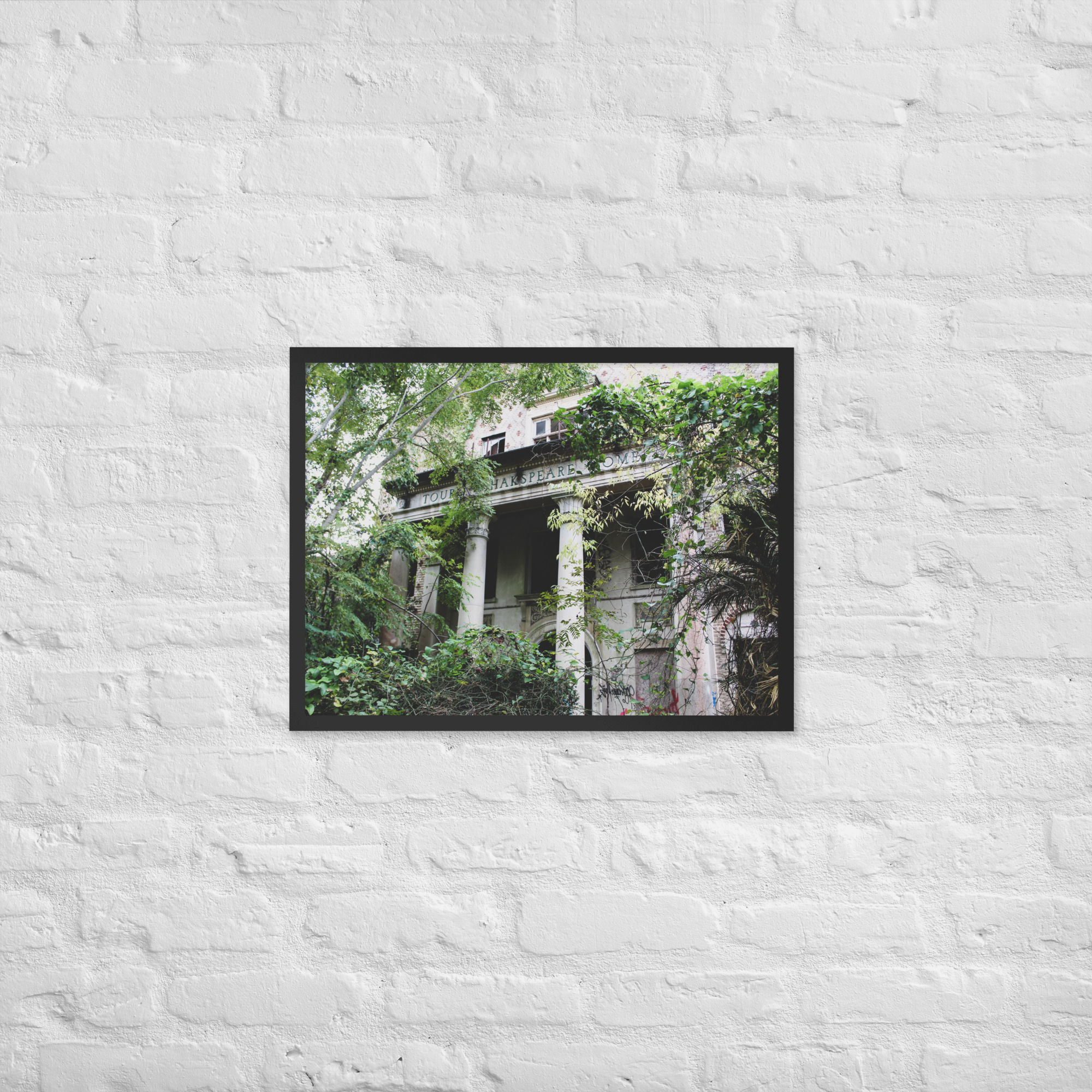 Touro Shakspeare — Framed Print