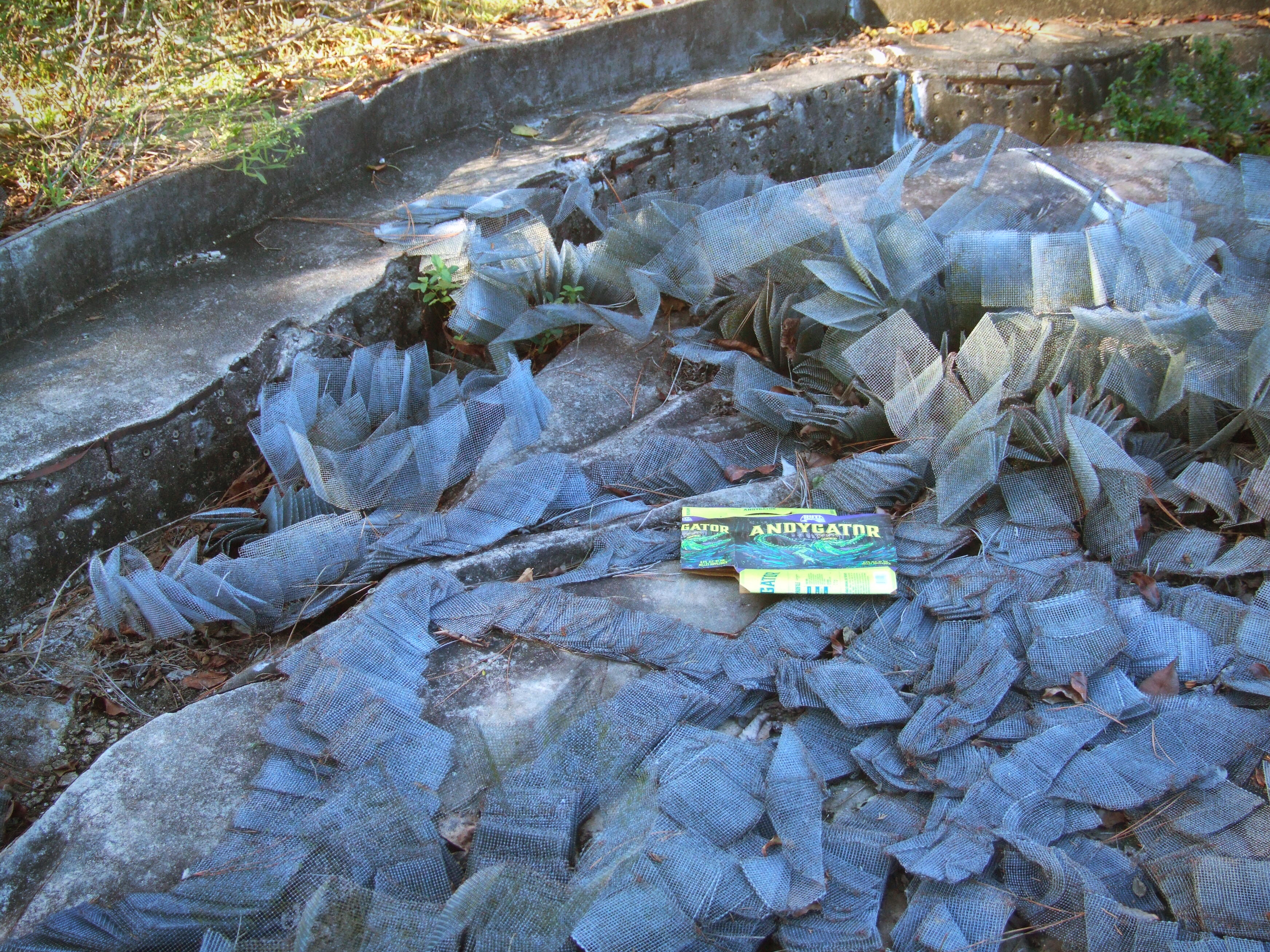 Mississippi River Model