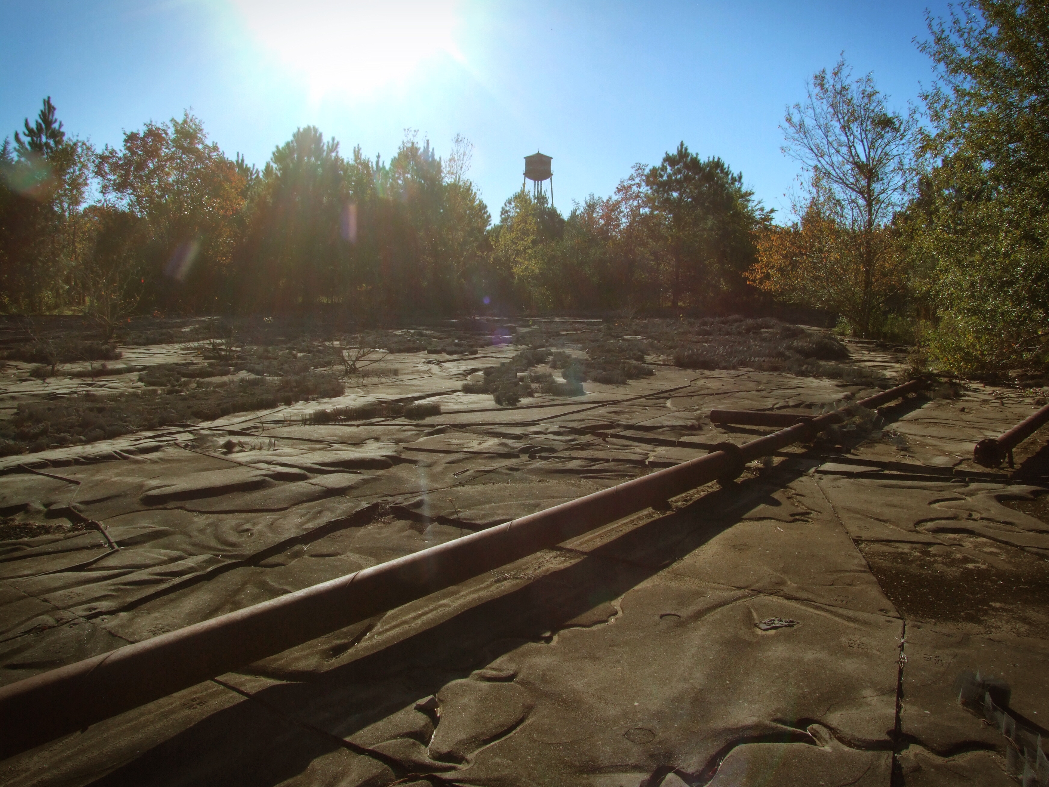Mississippi River Model