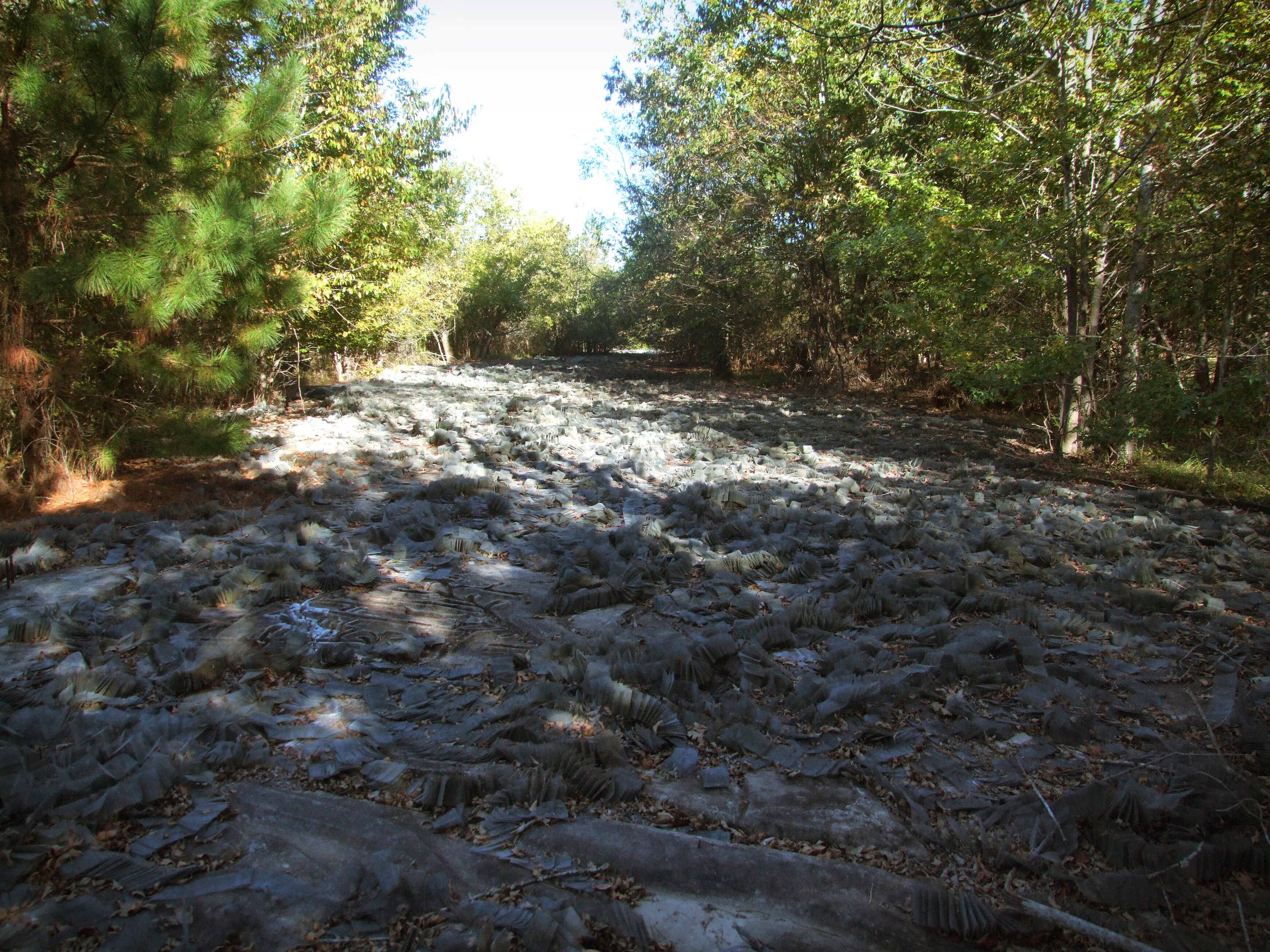 Mississippi River Model