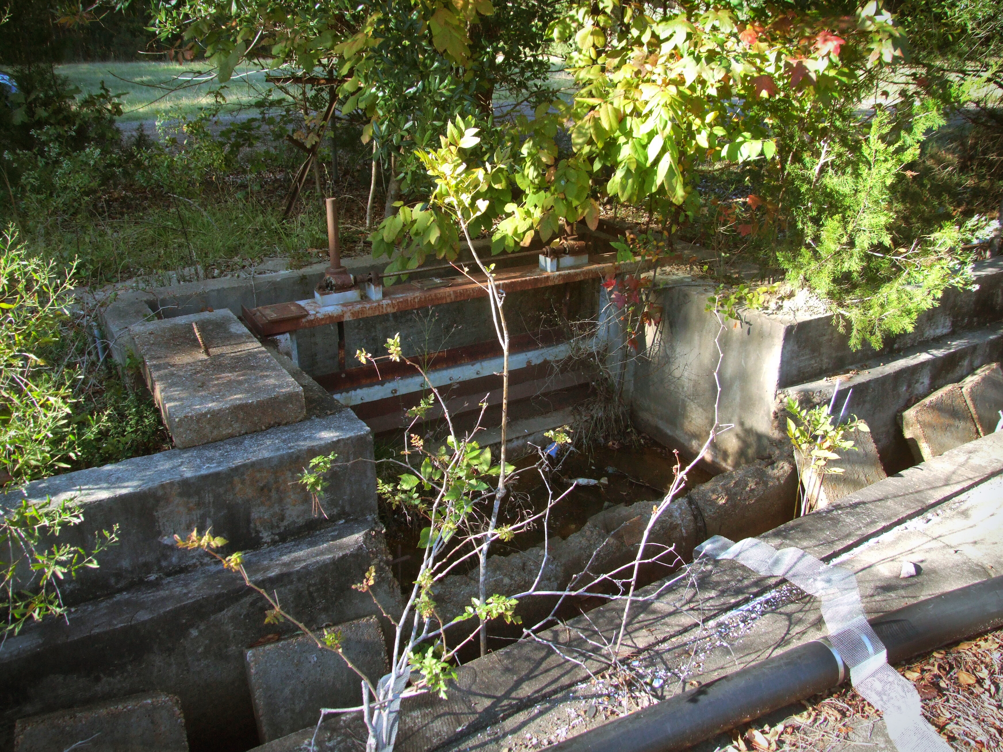 Mississippi River Model