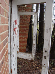 DSC01323.JPG