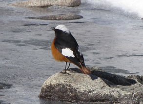 Kazakhstan - April 2010-68.jpg