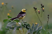 IMG_4711_edited.jpg
