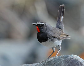 Kazakhstan - April 2010-121.jpg