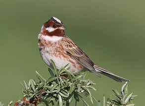 Kazakhstan - April 2010-99.jpg