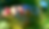 illustration.png