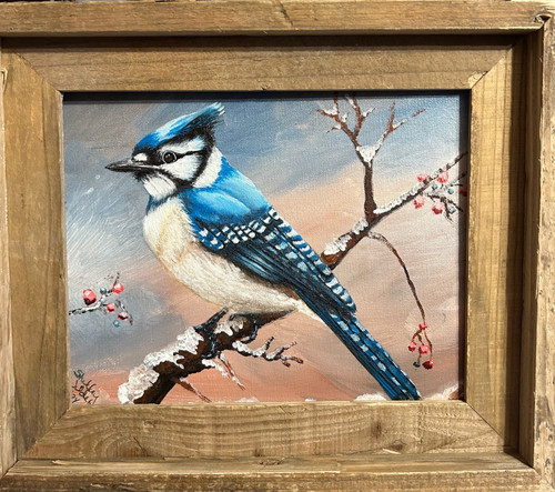 Blue Jay Framed | Shelley Wilder Art