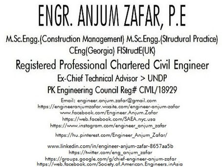 Engineer Anjum Zafar (UNDP)