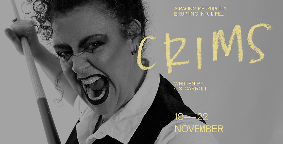 CRIMS Banner.jpg