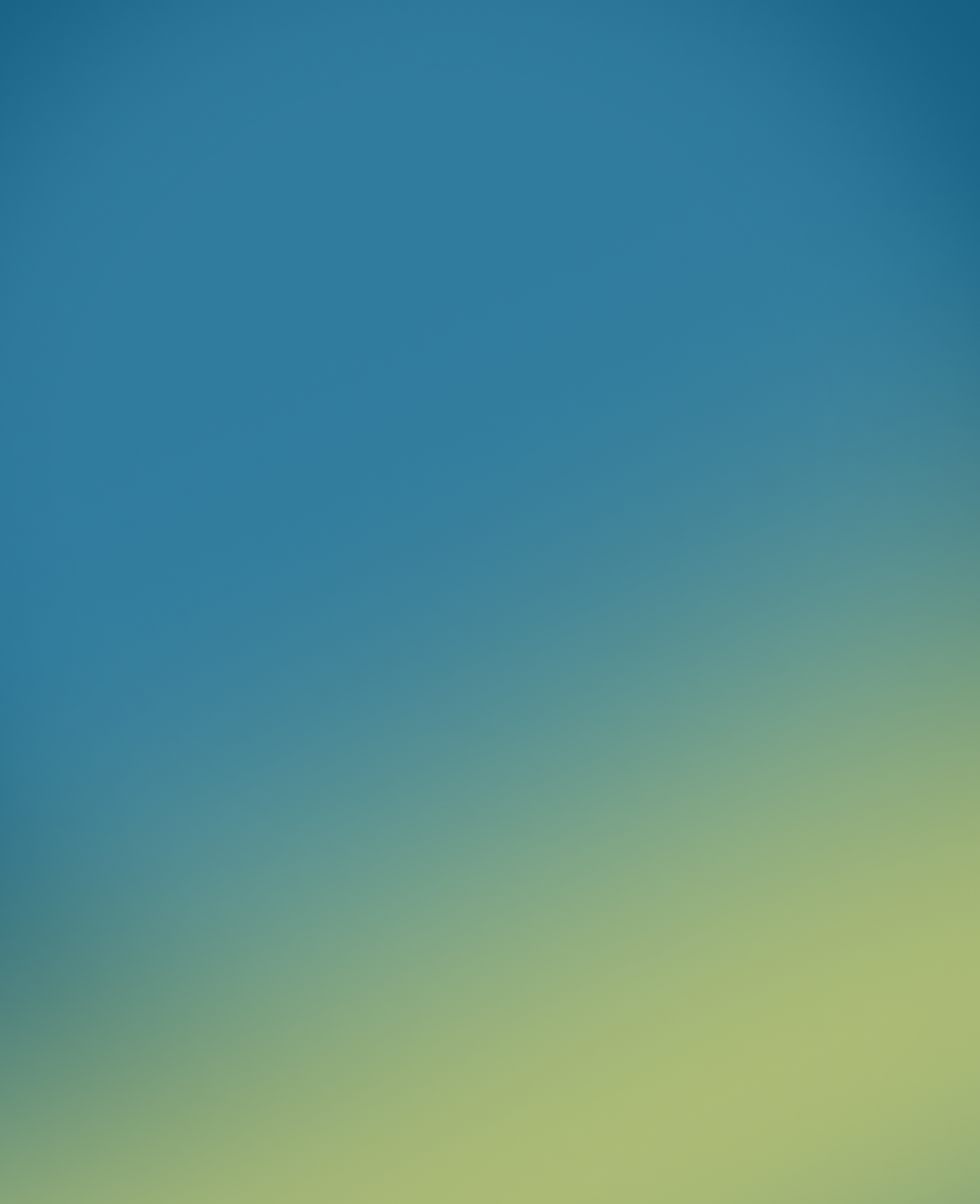 Custom Praxim Gradient