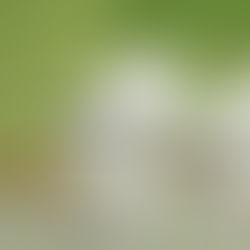 Fall Seven Times, Get Up Eight