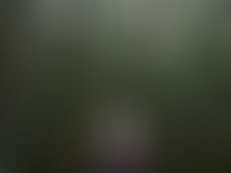 The Healing Power of Nature