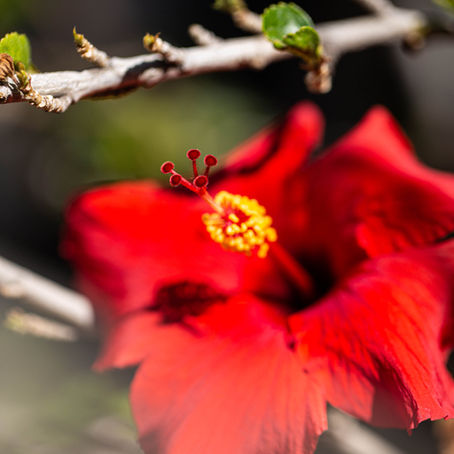 Save The Earth, Pt. 5