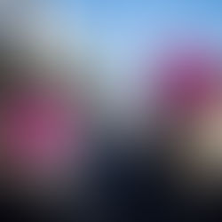 Women's March to the Polls, 01.21.2018