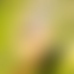 Save the Earth, Pt. 4