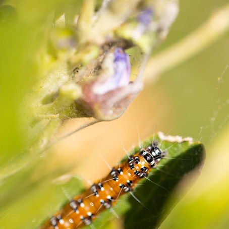 Save the Earth, Pt. 4