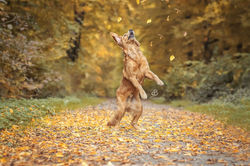 WhatsApp Image 2024-10-17 at 19.12.23 (6)