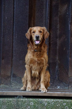 WhatsApp Image 2024-10-17 at 19.40.49 (2)