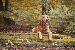 WhatsApp Image 2024-10-17 at 19.12.23 (7)