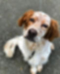 image1.jpeg