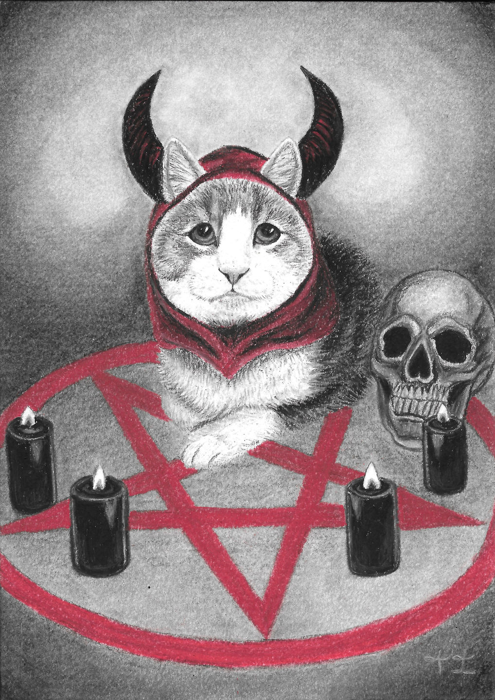 Devil Cat