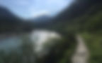 natur_foto(1)_edited.jpg