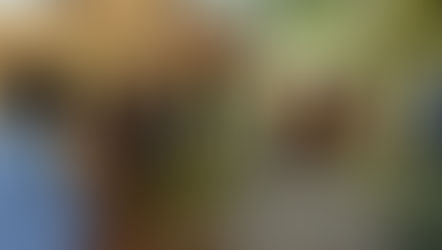 Messages from Mark: 28 Churches Unite in Tanzania Kilimanjaro Region