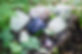 Healing Crystals Pic for website1.jpg