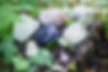 Healing Crystals Pic for website1.jpg