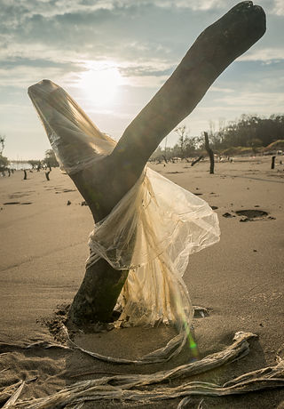 台灣海岸, 海洋垃圾, 廢棄漁網, 繩索, 海洋汙染, 塑膠碎片, 塑膠微粒