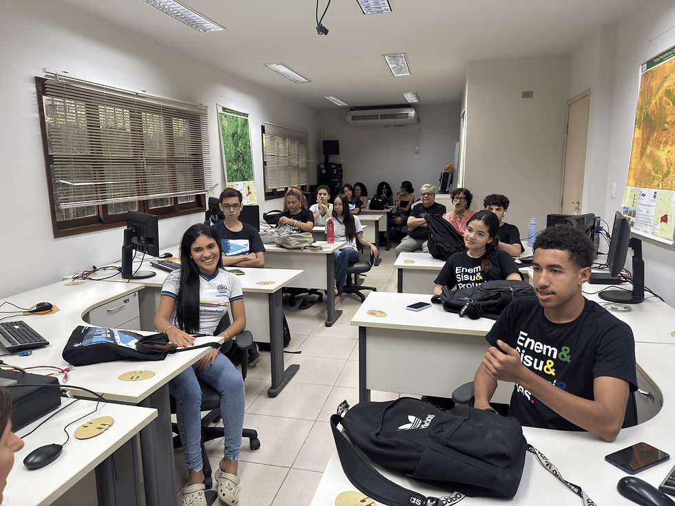 Como funcionará a aplicação do questionário?
