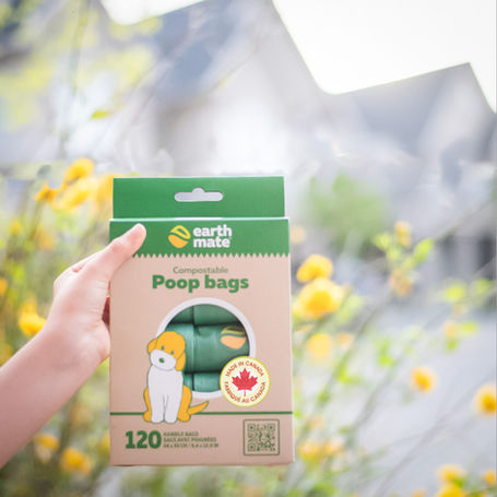 Compostable Dog Poop Bags Made in Canada: Why Dog Owners Are Making the Switch.
