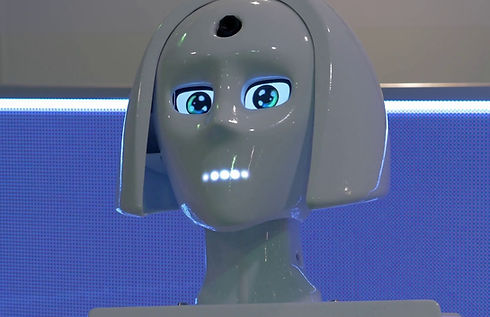 Sales Marketing Humanoid Robot 2022