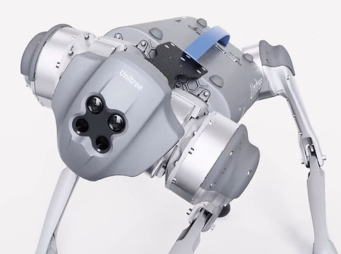 R&D ROBOTICS AUTOMATIONÂ Robots AI dog